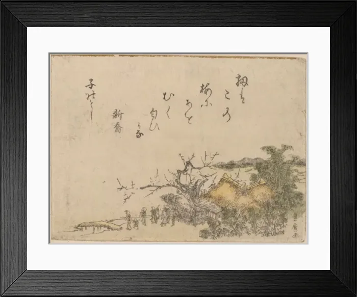 Framed Print : Plum tree of a country farmhouse Framed Print : Plum tree of a country farmhouse