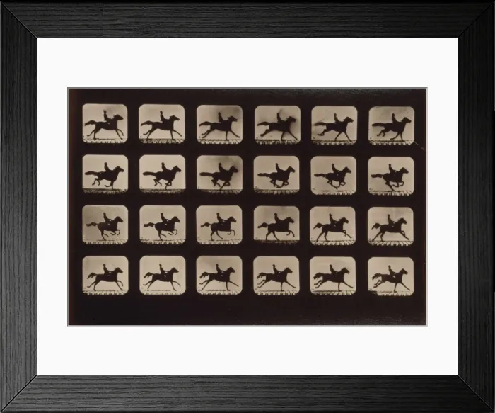 Framed Print : Horses. Running Framed Print : Horses. Running