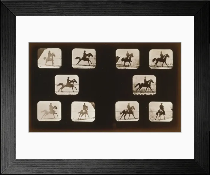 Framed Print : Horses. Running - Horses. Cantering Framed Print : Horses. Running - Horses. Cantering