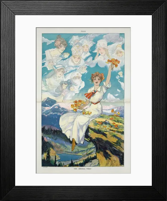 Framed Print : See America first Framed Print : See America first