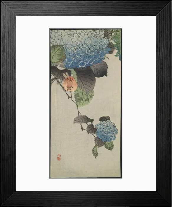 Framed Print : Small bird and hydrangea Framed Print : Small bird and hydrangea