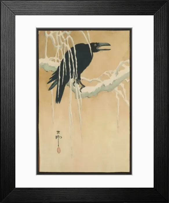 Framed Print : Blackbird in snow Framed Print : Blackbird in snow