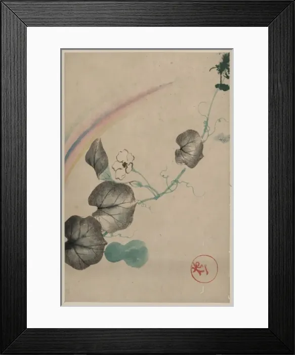 Framed Print : Squash vine with blossom, squash, and rainbow, with publishe Framed Print : Squash vine with blossom, squash, and rainbow, with publishe
