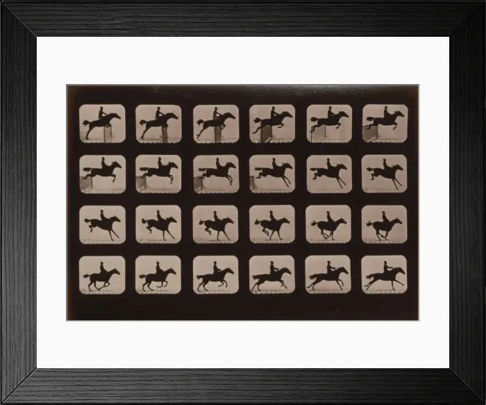 Framed Print : Horses. Leaping a 3 ft. 6 hurdle Framed Print : Horses. Leaping a 3 ft. 6 hurdle
