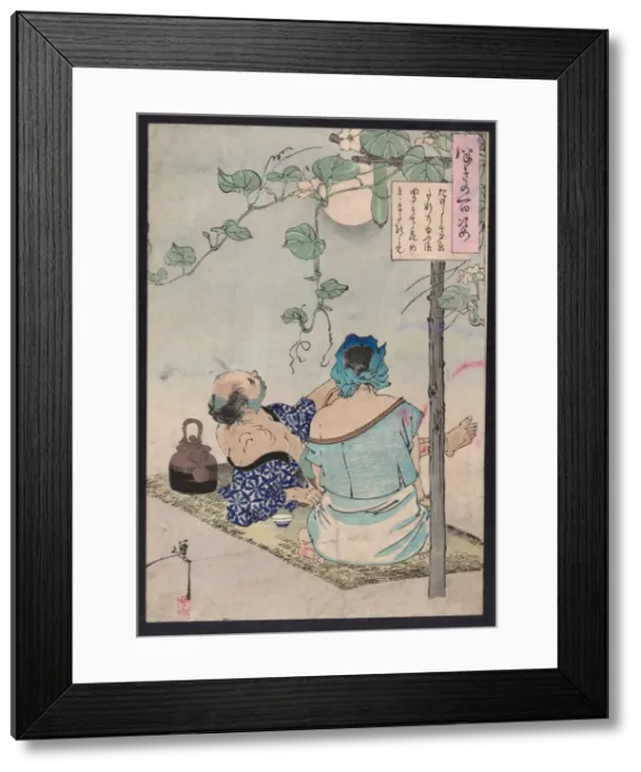 Framed Print : Cooling beneath a evening glory canopy Framed Print : Cooling beneath a evening glory canopy