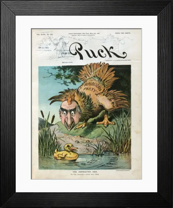 Framed Print : The distracted hen Framed Print : The distracted hen