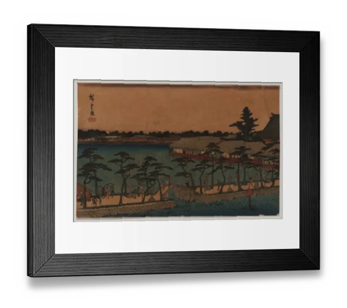 Framed Print : Shinobazu pond Framed Print : Shinobazu pond