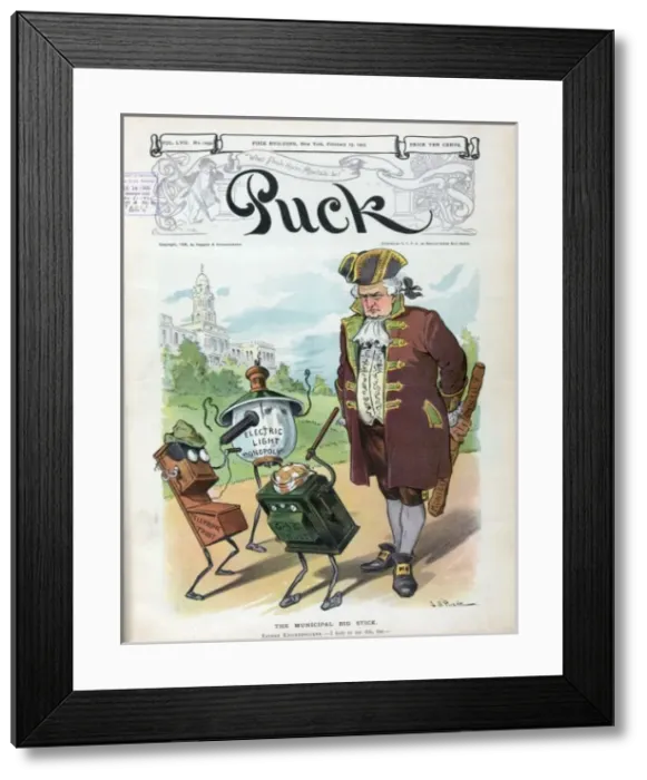 Framed Print : The municipal big stick Framed Print : The municipal big stick