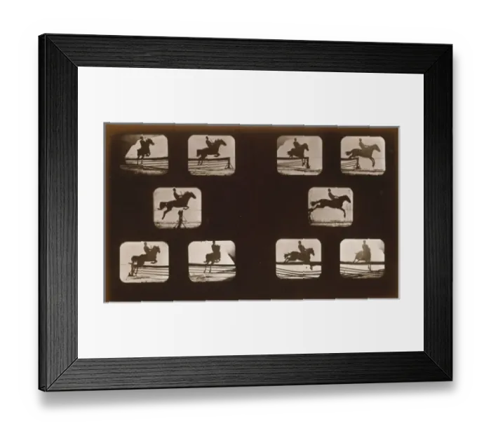 Framed Print : Horses. Leaping Framed Print : Horses. Leaping