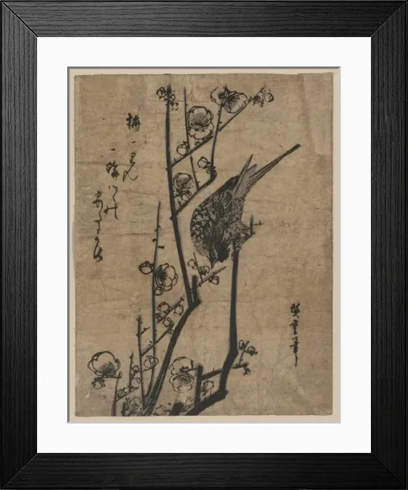 Framed Print : Bush warbler on a plum branch Framed Print : Bush warbler on a plum branch