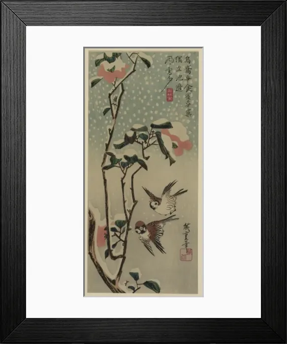 Framed Print : Sparrows and camellias in snow Framed Print : Sparrows and camellias in snow