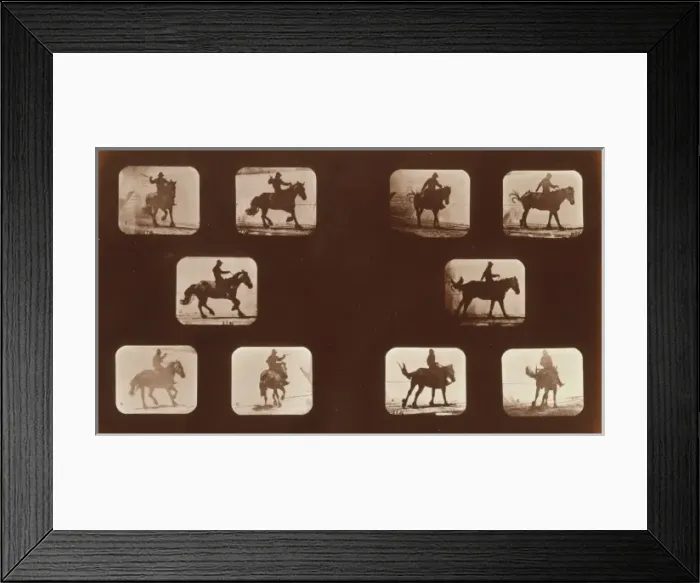 Framed Print : Horses. Running Framed Print : Horses. Running