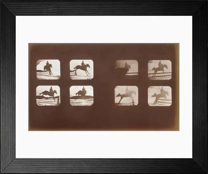 Framed Print : Horses. Leaping Framed Print : Horses. Leaping