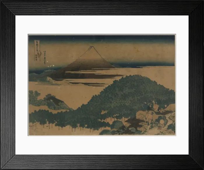 Framed Print : The cushion pine at Aoyama Framed Print : The cushion pine at Aoyama