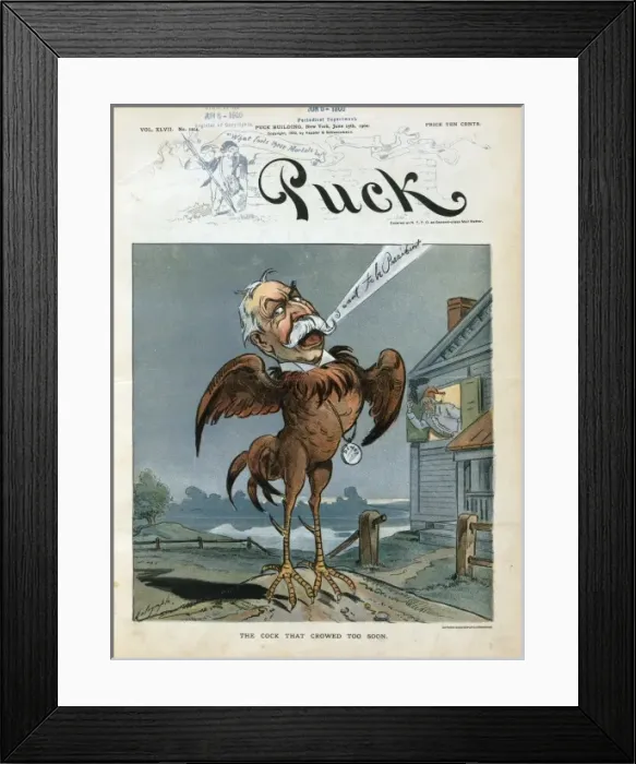 Framed Print : The cock that crowed too soon Framed Print : The cock that crowed too soon