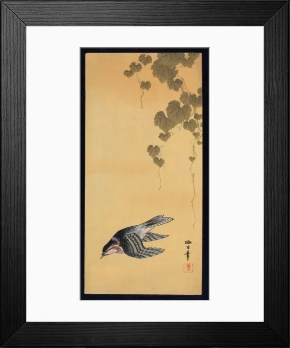 Framed Print : Small bird and grapes Framed Print : Small bird and grapes