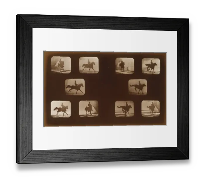 Framed Print : Horses. Leaping Framed Print : Horses. Leaping