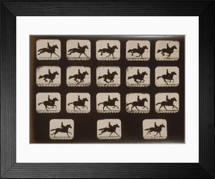 Framed Print : Horses. Running