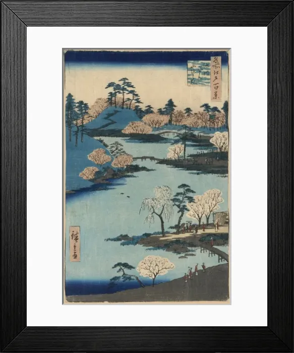 Framed Print : Open garden at Fukagawa Hachiman Shrine Framed Print : Open garden at Fukagawa Hachiman Shrine