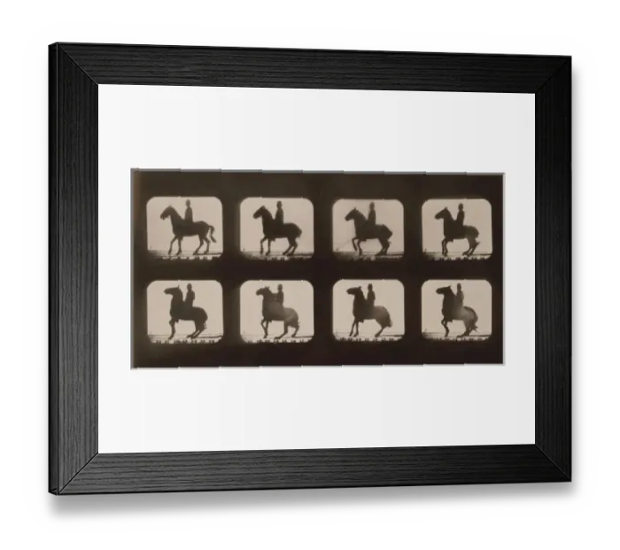 Framed Print : Horses. Backing Framed Print : Horses. Backing