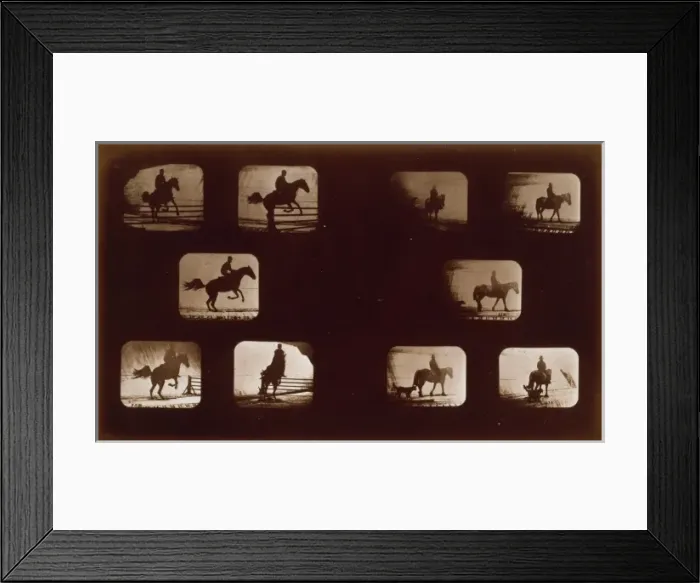 Framed Print : Horses. Leaping - Horses. Walking Framed Print : Horses. Leaping - Horses. Walking