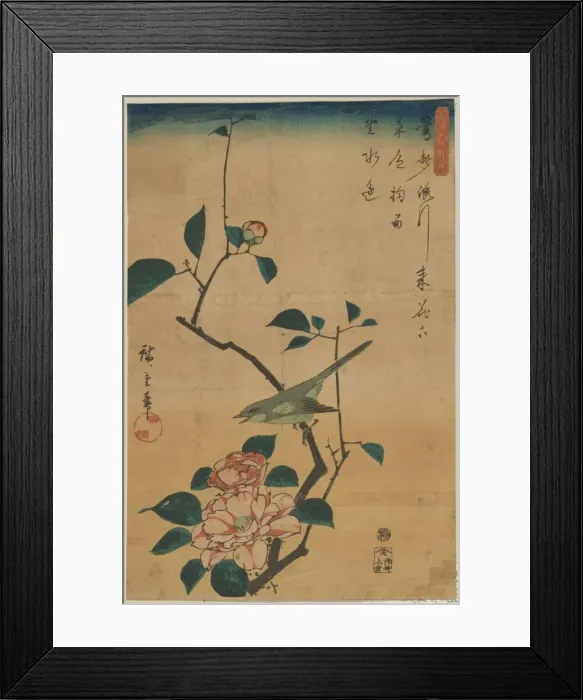 Framed Print : Camellia and Bush Warbler Framed Print : Camellia and Bush Warbler