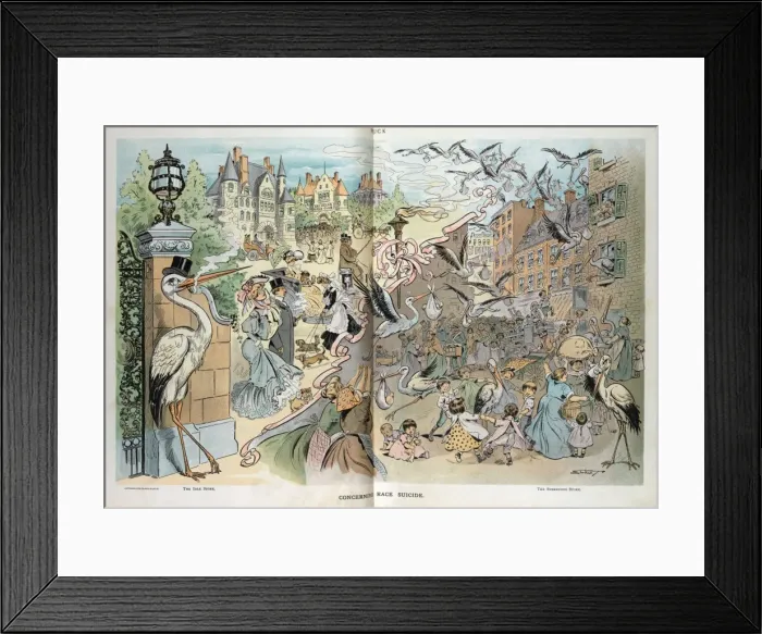 Framed Print : Concerning race suicide Framed Print : Concerning race suicide