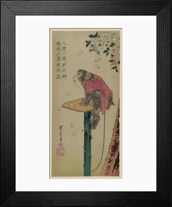 Framed Print : Monkey on a leash and cherry blossoms Framed Print : Monkey on a leash and cherry blossoms