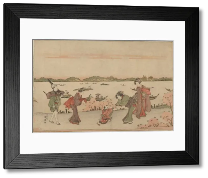 Framed Print : Cherry blossom viewing in Mimeguri Framed Print : Cherry blossom viewing in Mimeguri