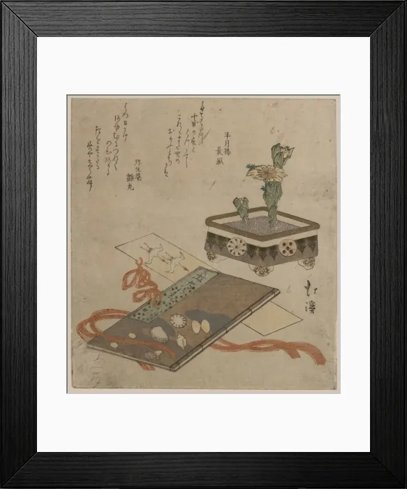 Framed Print : Fukujuso (Adonis plant): Tosa diary bookmark Fukujus? (Adoni Framed Print : Fukujuso (Adonis plant): Tosa diary bookmark Fukujus? (Adoni