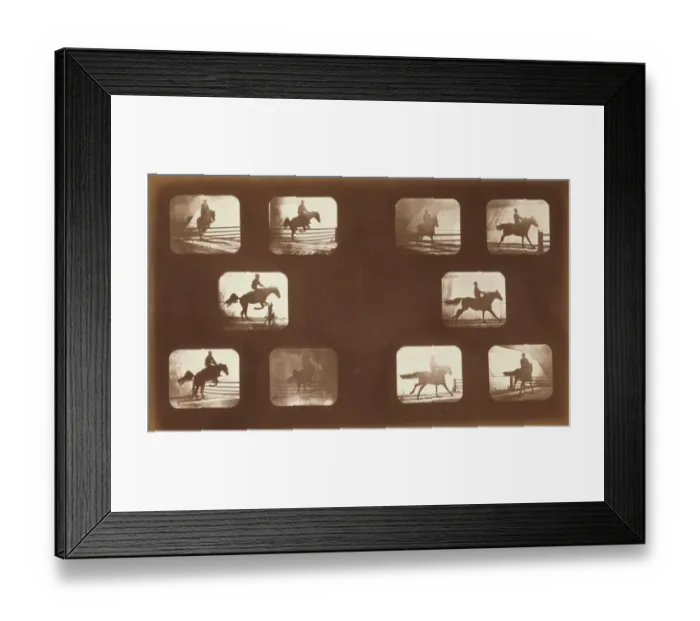 Framed Print : Horses. Leaping Framed Print : Horses. Leaping