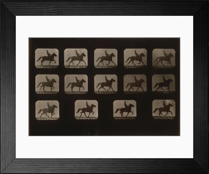 Framed Print : Horses. Irregular Framed Print : Horses. Irregular