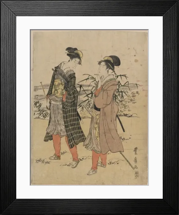 Framed Print : Transformed falconry Framed Print : Transformed falconry