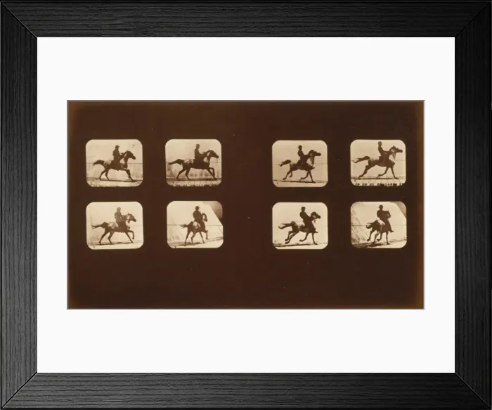 Framed Print : Horses. Running Framed Print : Horses. Running