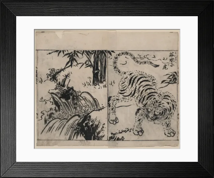 Framed Print : Tiger near a cataract Framed Print : Tiger near a cataract