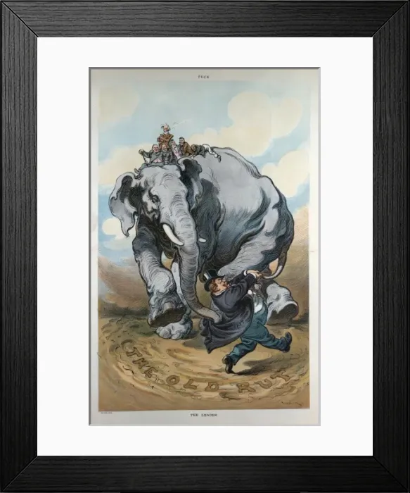 Framed Print : The leader Framed Print : The leader