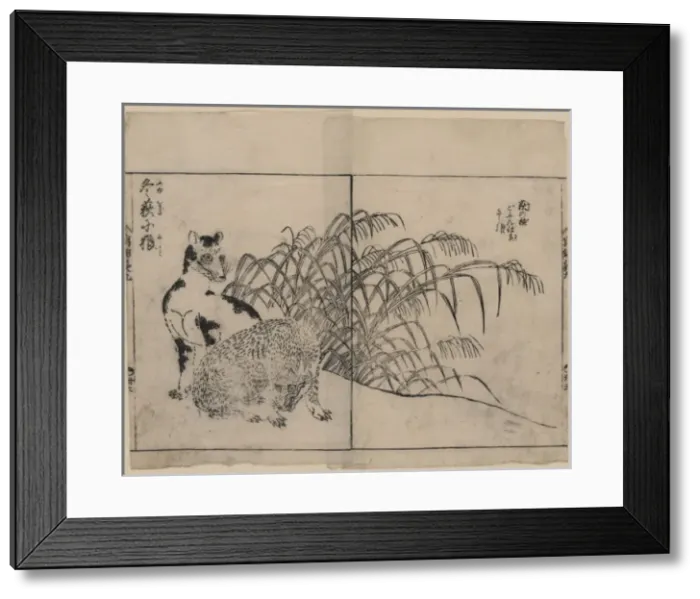 Framed Print : Wolves and winter reeds Framed Print : Wolves and winter reeds