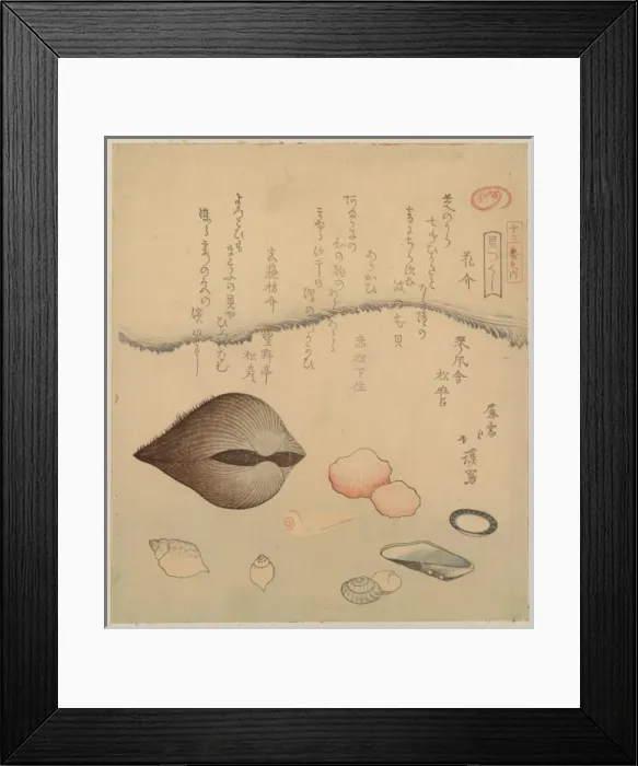 Framed Print : Aragai, masuogai, anagai: clams Aragai, masu?gai, anagai: cl