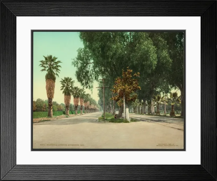 Framed Print : Magnolia Avenue, Riverside, Cal Framed Print : Magnolia Avenue, Riverside, Cal