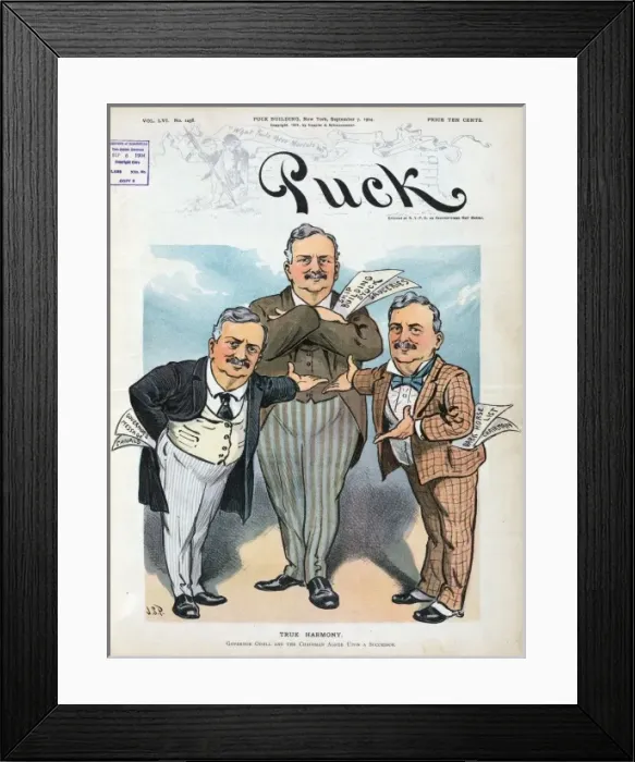 Framed Print : True harmony Framed Print : True harmony