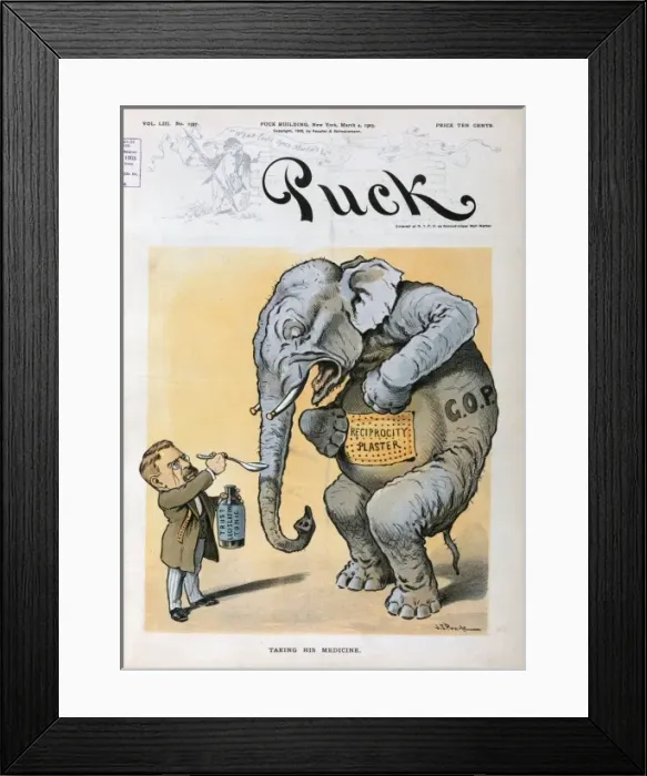Framed Print : Taking his medicine Framed Print : Taking his medicine