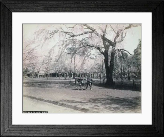 Framed Print : View of Uyeno, Tokio Framed Print : View of Uyeno, Tokio