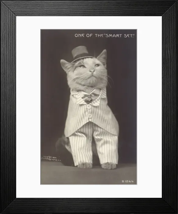 Framed Print : One of the smart set Framed Print : One of the smart set