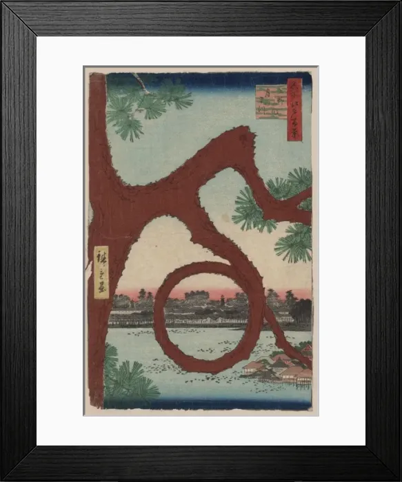 Framed Print : Moon pine, Ueno Framed Print : Moon pine, Ueno