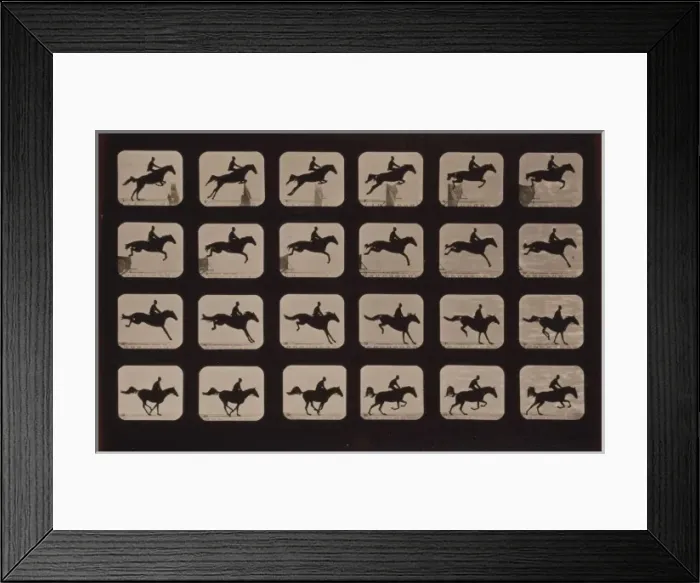 Framed Print : Horses. Leaping a 3 ft. 6 hurdle Framed Print : Horses. Leaping a 3 ft. 6 hurdle