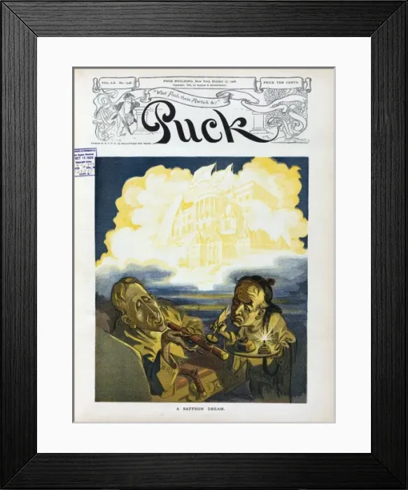 Framed Print : A saffron dream