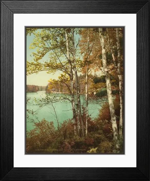Framed Print : The Inlet, Spit-Fire Lake, Adirondack Mountains Framed Print : The Inlet, Spit-Fire Lake, Adirondack Mountains