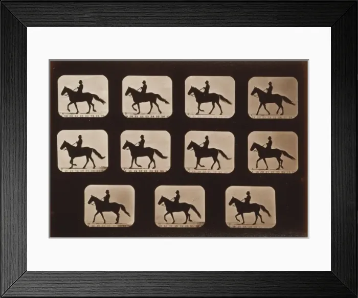 Framed Print : Horses. Walking Framed Print : Horses. Walking