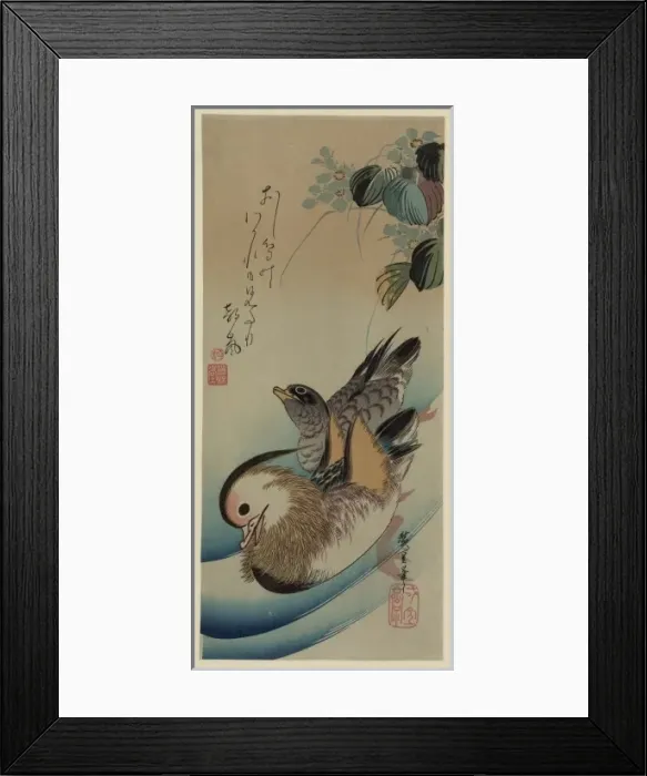 Framed Print : Mandarin ducks Framed Print : Mandarin ducks