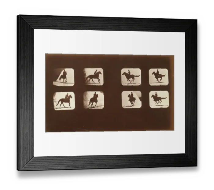 Framed Print : Horses. Running Framed Print : Horses. Running